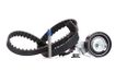 INA 530 0335 10 Distributieriem Kit