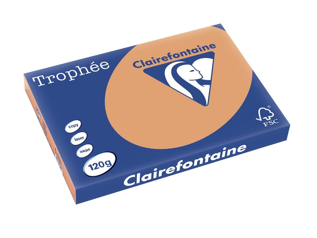 Clairefontaine Trophée Pastel A3 mokka 120 g 250 vel - 3329680130409