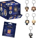 Funko POP! Keychain: Harry Potter - 12PC PDQ (Blind)