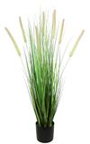 Kunstgras vossenstaart in graspot, kunstgras, decoratief gras, groene planten, grasdecoratie, panicoideae harige gierst, zacht gras, Setaria