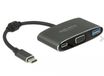 DeLOCK 62992 USB grafische adapter 3840 x 2160 Pixels Grijs