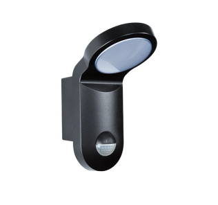 Esylux AOL 100 LED Buitenlamp - 770lm - 5000K - Zwart