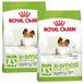 ROYAL CANIN SHN X-Small Veroudering 12+ 2x1,5 kg