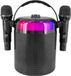 Draagbare BoomTone DJ Starvoice, Bluetooth karaoke speaker met 2 microfoons