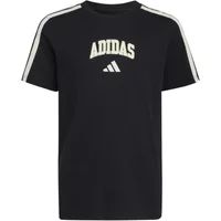 Adidas T-shirt kind Collegiate Graphic