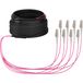 EFB Elektronik O8322S40OM4 InfiniBand Glasfaserkabel 40m OM4 8x LC U-DQ(ZN) BH Beige, Schwarz, Magenta