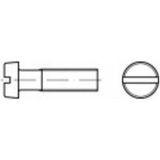 TOOLCRAFT TO-5445162 Vis à tête cylindrique M5 16 mm Fente DIN 84 Laiton 1000 pièce(s)