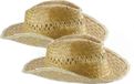 Merkloos 2x stuks cowboy strohoed summer voor dames en heren - Beige