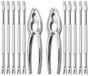 Unyqoos Ensemble complet pour manger facilement des fruits de mer avec des outils pour homards et pinces et des fourchettes