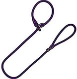 Correa Arppe Correa Collar EDUCATIVO California MDO