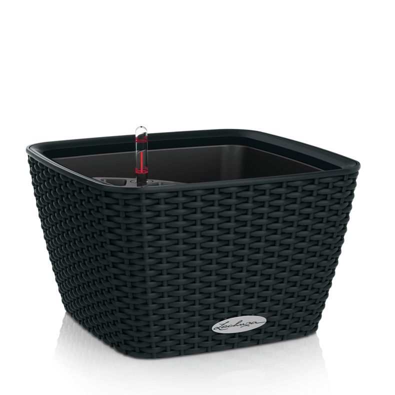 LECHUZA BACINO Cottage - Plantenbak - Zwart - 30cm