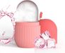 BeiJingLiangPinJiaZuoKeJiWenHuaFaZhanYouXianGongSi Rouleau de glace - compact et léger - rose - réduit les gonflements