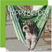 Leuke Chill Cool Dog Leuke Verjaardagskaarten voor Mannen en Vrouwen - Happy Birthday Card voor Werk Collega Vriend Broer Zus Mama Papa Zoon Dochter Nan Opa, 145 mm x 145 mm
