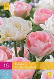 Jub Holland Tulpen Double Sensation - 15 stuks