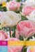 Jub Holland Tulpen Double Sensation - 15 stuks