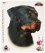 Quattroerre 8007 sticker Cane Rottweiler Bordo Tabella