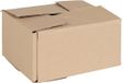vidaXL Boîte pliante avec rangement 50 pièces Naturel 20 x 15 x 10 cm Carton