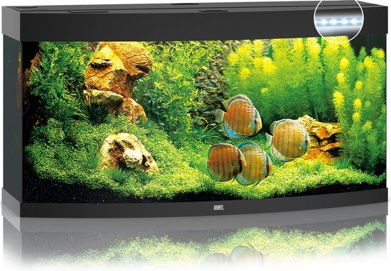 Gebr de boon Juwel Vision 260 Aquarium - Zwart