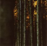 Sonic Rendezvous Claus Boesser-Ferrari Feat. Marc Ribot - Wandertag (CD)