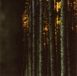 Sonic Rendezvous Claus Boesser-Ferrari Feat. Marc Ribot - Wandertag (CD)