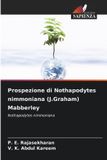 Prospezione Edizioni Sapienza Prospezione di Nothapodytes nimmoniana (J.Graham) Mabberley
