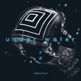 Underwater/Vinyle Elephant Gym Underwater LP Coloured Vinyl Blauw/Doorzichtig