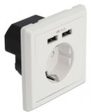 DeLOCK Muurbus met 2 x USB Type-A laadpoort 2.4 a