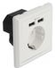 DeLOCK Muurbus met 2 x USB Type-A laadpoort 2.4 a