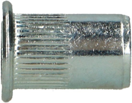 pgb-Europe PGB-FASTENERS Blindklinkmoer cilindr. kop M4x10 Zn