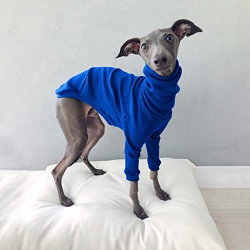 JRKJ Winter Dog Pyjama Solid Color High Neck Threaded Two-Penged Dog Clothes Casual Pet Dog Cothes Kleine en middelgrote hondenkleding
