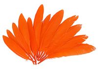 INNSPIRO Indiase veren, oranje, ca. 25 mm x 140 mm, 60 stuks