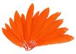 INNSPIRO Indiase veren, oranje, ca. 25 mm x 140 mm, 60 stuks