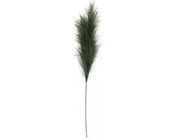 Buitengewoon Boet Buitengewoon de Boet Pampas Gras 60 cm Donker groen kunstplant
