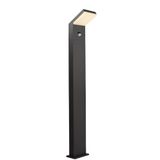 Deko Light Tucanae Motion 733068 Staande buitenlamp LED LED vast ingebouwd 18 W Energielabel: F (A - G) Donkergrijs