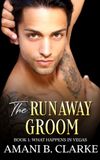 The Runaway Groom:Book 1: A Steamy Accidental Marriage Romance with a Runaway Groom and One Wild Vegas Mistake That Won't Stay Down
