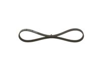 BOSCH Keilrippenriemen 1987947962