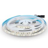 Brightium Ledstrip, 5 m, 12 W/m, Samsung-chip, wit licht, 4000 K, IP20, ideaal voor gebruik binnenshuis, prijs per meter