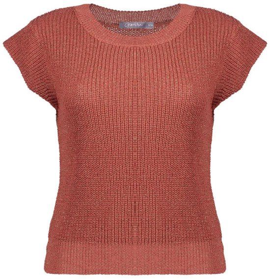 Geisha Dames Trui 64082-70 Maat 3XL Brique