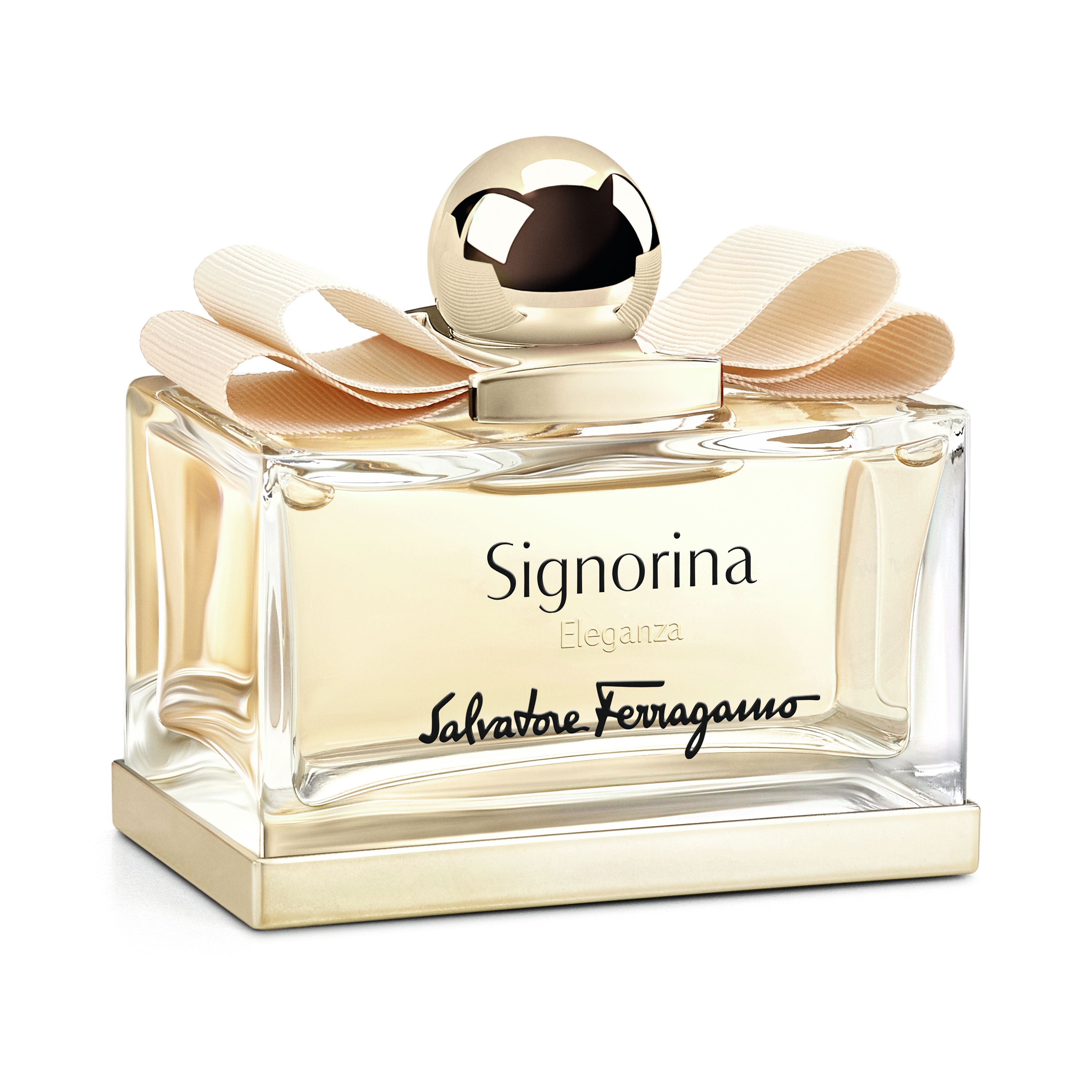 Salvatore Ferragamo Eau de Parfum / 100 ml / Female