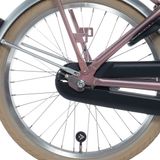 Alpina Achterwiel 20 Inch Zilver Aluminium Stadsfiets