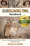 Burrowing Owl Handbook: Behavior, Habitat, Nesting, and Ethical Wildlife Observation Guide