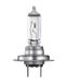 Osram Original Line H7 12V 55W Lampe pour moto
