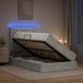 vidaXL LED-opbergbed met matras, lichtgrijs, 120 x 200 cm, fluweel