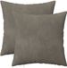 vidaXL - Kussensloop - 2 stuks - HEERLEN - Lichtgrijs - 45 x 45 cm - Fluweel