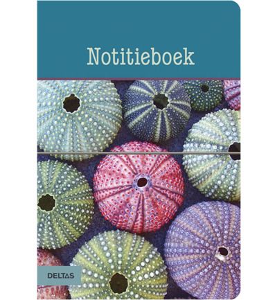 Deltas Notitieboek schelpen BOEK