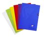 Clairefontaine 303102C Pak met 10 Geniete Schriften Mimesys - A4 21x29,7 cm - 48 Pagina’s Kleine Ruitjes - 90 g Wit Papier - Transparante Polypro Kaft - Willekeurige Kleuren