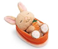 NICI Sleeping Pets Forest Edition Knuffelbeer 12 Cm Oranje