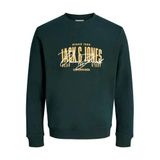 JACK & JONES regular fit sweater met print - scarab