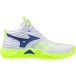 Mizuno Wave Momentum Elite Mid Indoor Schoenen