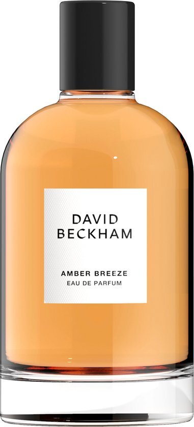 David Beckham Eau de parfum 100 ml